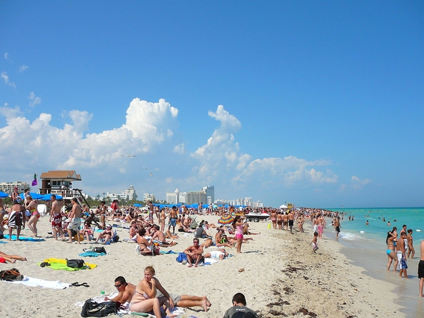 Imagen general del Hotel Beach Plaza. Foto 5