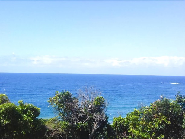 Imagen de los exteriores del Hotel Beach Resort Apartment. Foto 15