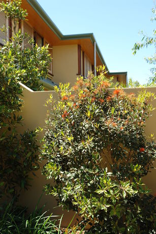 Imagen de la habitación del Hotel Beach Suites. Foto 10