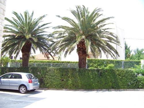 Imagen general del Hotel Beach Villa Bozikovic. Foto 6