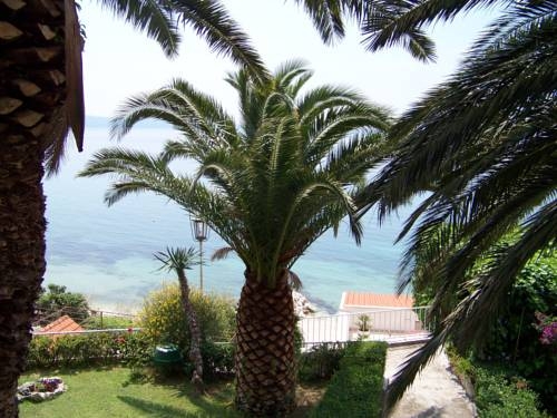 Imagen general del Hotel Beach Villa Bozikovic. Foto 8