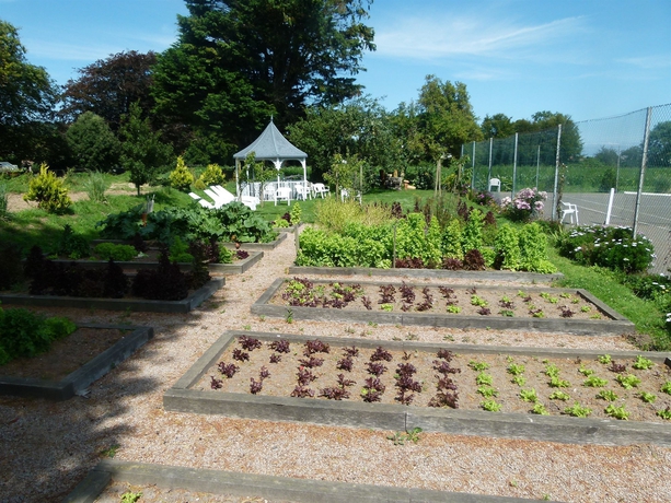 Imagen de los exteriores del Hotel Beachcombers. Foto 7