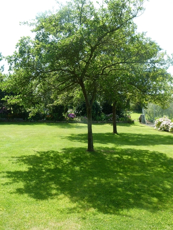 Imagen de los exteriores del Hotel Beachcombers. Foto 10