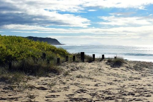 Imagen de la habitación del Hotel Beachfront Hallidays Point. Foto 8