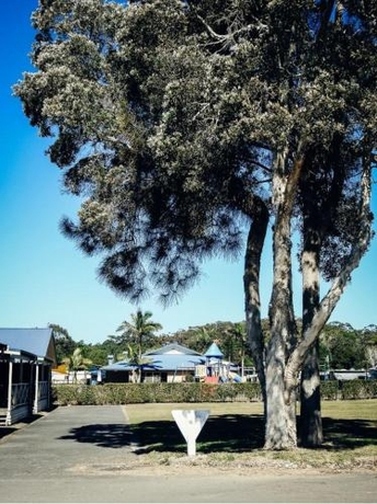 Imagen general del Hotel Beachfront Hallidays Point. Foto 2