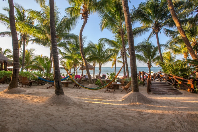 Imagen de los exteriores del Hotel Beachfront La Palapa - Adults Only. Foto 10