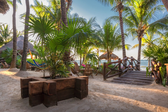 Imagen de los exteriores del Hotel Beachfront La Palapa - Adults Only. Foto 11