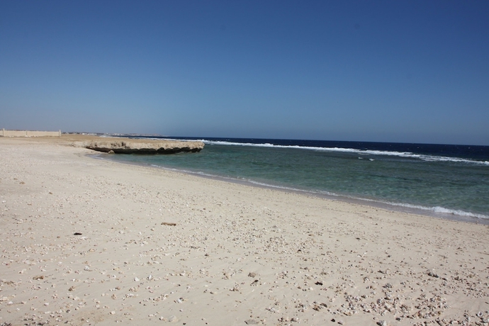 Imagen de los exteriores del Hotel Beachsafari Resort. Foto 12