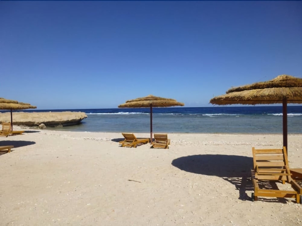 Imagen de los exteriores del Hotel Beachsafari Resort. Foto 14
