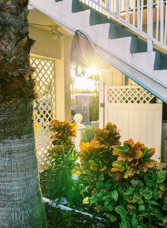 Imagen de los interiores del Hotel Beachside Gardens Apartments by Lowkl. Foto 16