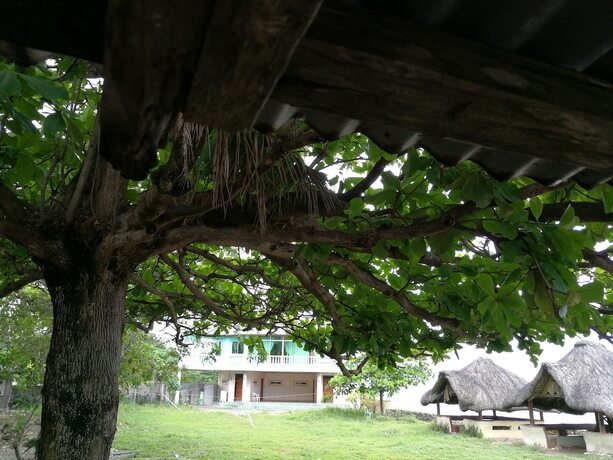 Imagen general del Hotel Beachview Pink Lodge. Foto 14