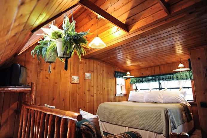 Imagen de la habitación del Hotel Bear Creek Motel And Cabins. Foto 15