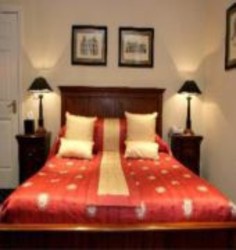 Imagen general del Hotel Bear Hotel. Foto 3