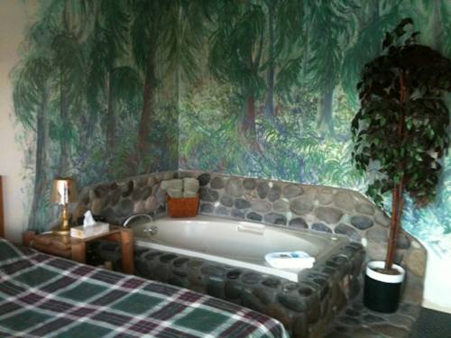 Imagen de la habitación del Hotel Bear's Claw Lodge. Foto 4