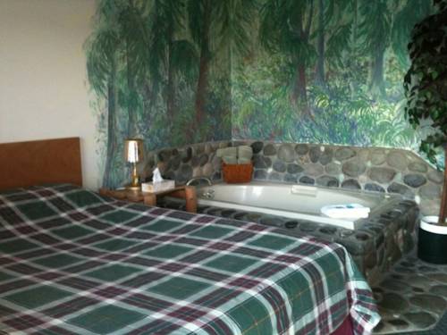 Imagen de la habitación del Hotel Bear's Claw Lodge. Foto 10
