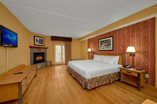 Imagen de la habitación del Hotel Bearskin Lodge On The River. Foto 2