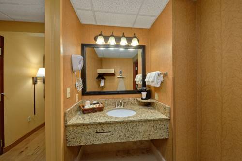 Imagen de la habitación del Hotel Bearskin Lodge On The River. Foto 5