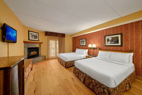 Imagen de la habitación del Hotel Bearskin Lodge On The River. Foto 6