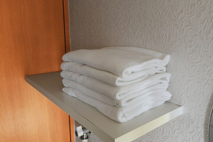 Imagen de la habitación del Hotel Beau Belle Nagahori 1001. Foto 28