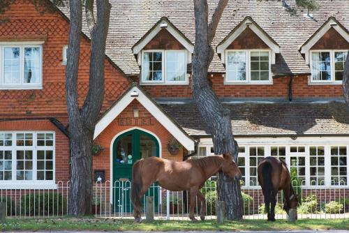 Imagen general del Hotel Beaulieu, New Forest. Foto 4