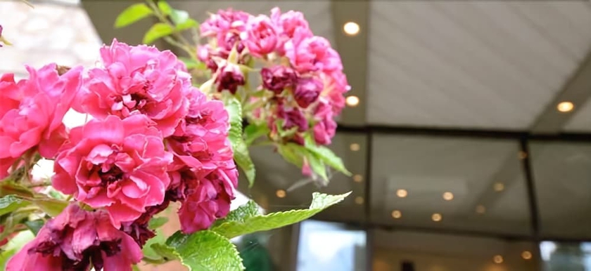 Imagen de los interiores del Hotel Beausejour Appartements. Foto 17