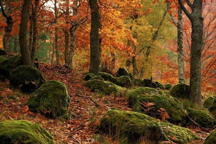 Imagen general del Hotel Beautiful 10-bed Cottage in Celorico With Pool. Foto 12