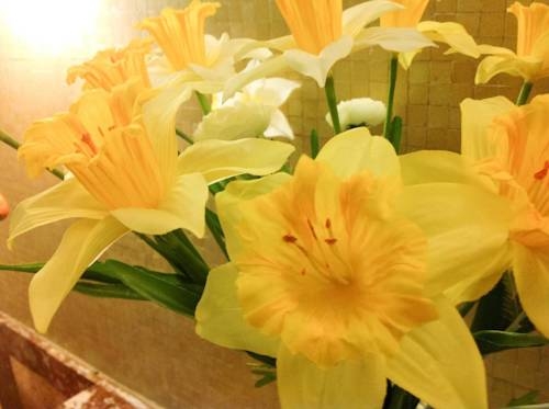 Imagen de los interiores del Hotel Beaux Arts. Foto 7