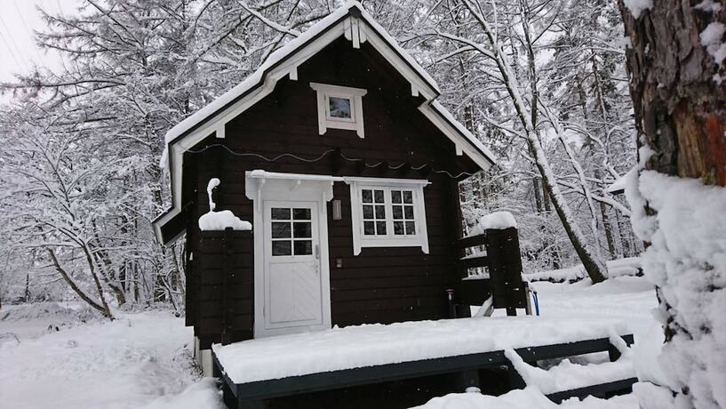 Imagen general del Hotel Beaver Lodge Hakuba. Foto 12