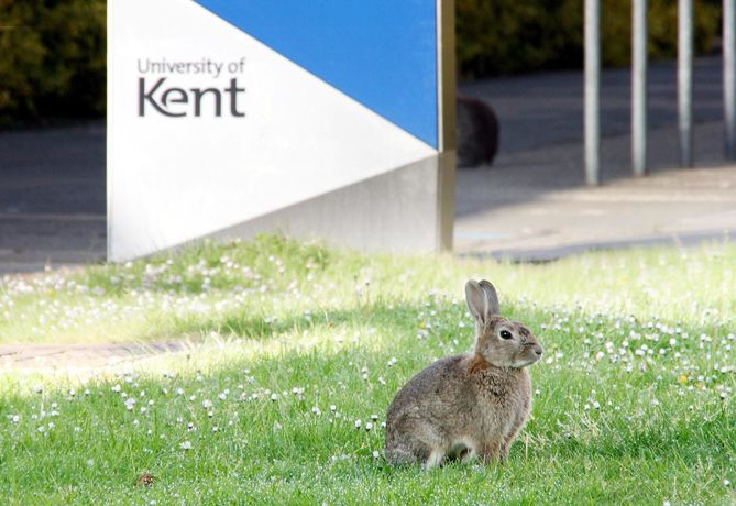 Imagen de los exteriores del Hotel Becket Court - University Of Kent. Foto 9