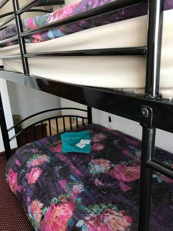 Imagen de la habitación del Hotel Beckwood. Foto 10