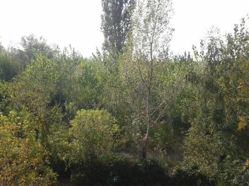 Imagen general del Hotel Bed Breakfast Hotel Budapest. Foto 14