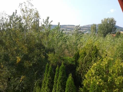 Imagen general del Hotel Bed Breakfast Hotel Budapest. Foto 15