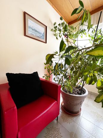 Imagen de los interiores del Hotel Bed and Breakfast Eder. Foto 12