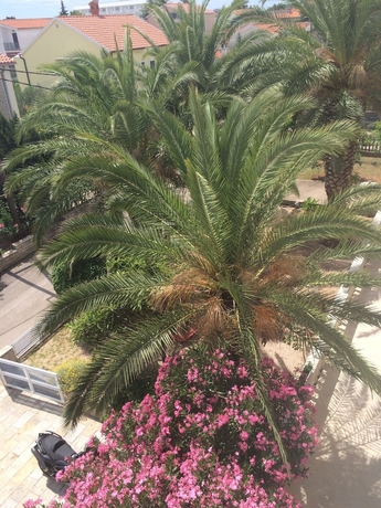 Imagen general del Hotel Bed and Breakfast Sidro. Foto 3