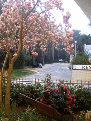 Imagen de los exteriores del Hotel Bed and Breakfast Vila Kristina. Foto 13
