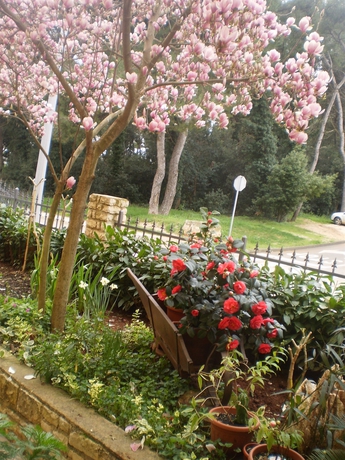 Imagen de los exteriores del Hotel Bed and Breakfast Vila Kristina. Foto 14