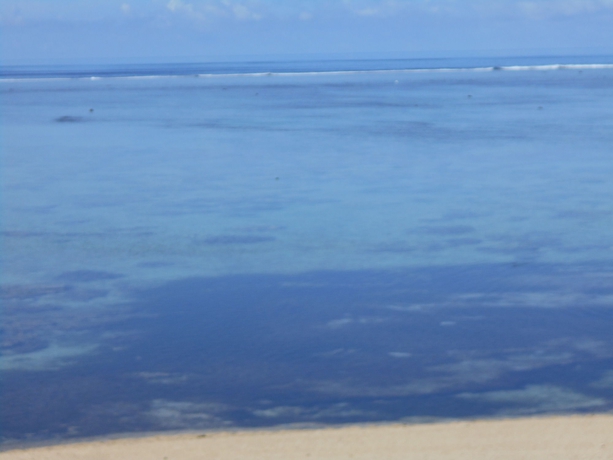 Imagen general del Hotel Bedarra Beach Inn. Foto 5