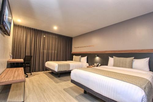 Imagen de la habitación del Hotel Bedford, Santiago de Queretaro. Foto 7