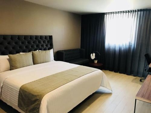 Imagen de la habitación del Hotel Bedford, Santiago de Queretaro. Foto 9