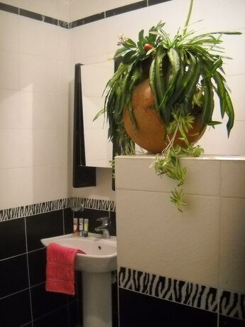 Imagen general del Hotel Bedouin Castle. Foto 3