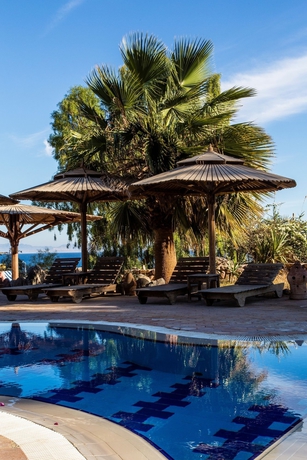 Imagen de la piscina del Hotel Bedouin Moon. Foto 4
