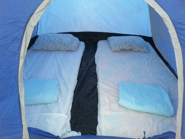 Imagen de la habitación del Hotel Bedouin Oasis Camp. Foto 5