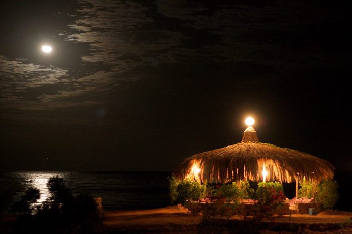 Imagen de los interiores del Hotel Bedouin Star. Foto 4