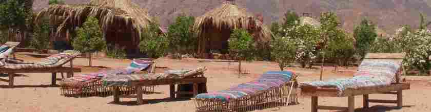 Imagen de los interiores del Hotel Bedouin Star. Foto 5