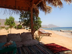 Imagen de los interiores del Hotel Bedouin Star. Foto 6