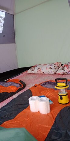 Imagen de la habitación del Hotel Bedugul Camping. Foto 13