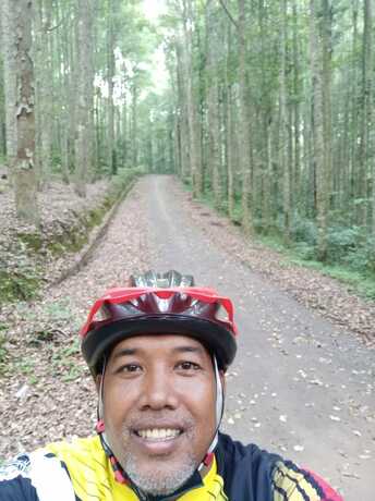 Imagen general del Hotel Bedugul Camping. Foto 2