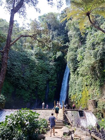 Imagen general del Hotel Bedugul Camping. Foto 9