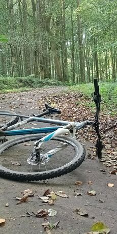 Imagen general del Hotel Bedugul Camping. Foto 11