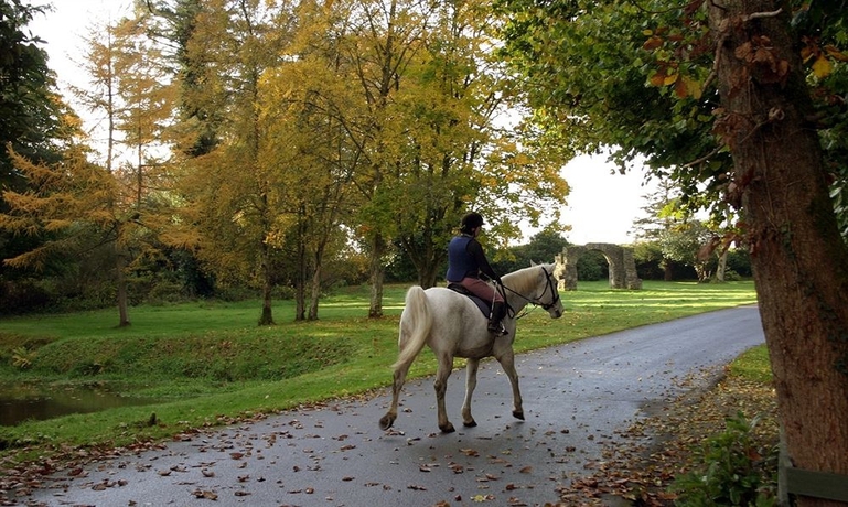 Imagen de los exteriores del Hotel Beech Hill Country House. Foto 7